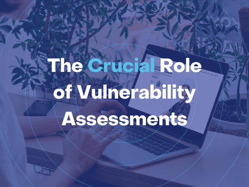 The crucial role of vulnerability assessments.