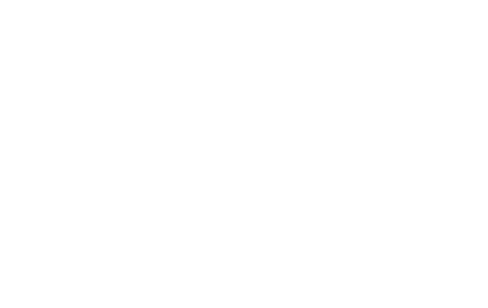 The One Point