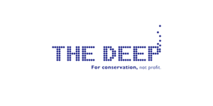 The Deep | IT Support for Retail